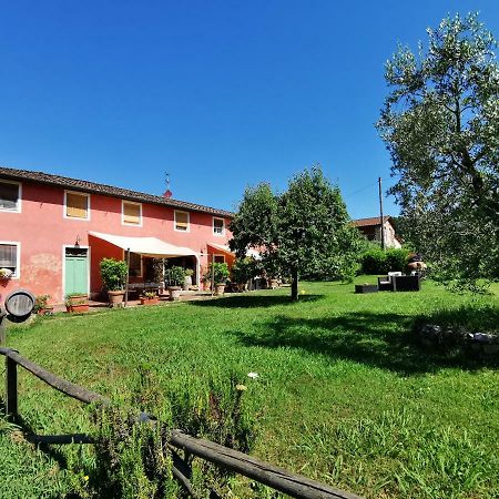 Agriturismo Al Podere Di Rosa Lucca Exterior foto