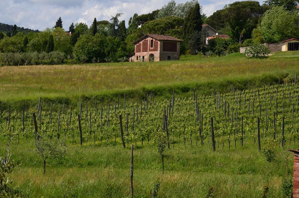 Agriturismo Al Podere Di Rosa Lucca Exterior foto