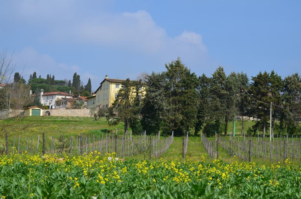 Agriturismo Al Podere Di Rosa Lucca Exterior foto