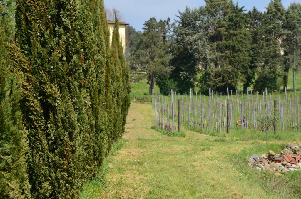 Agriturismo Al Podere Di Rosa Lucca Exterior foto